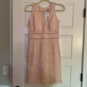 Lace Overlay Blush dress